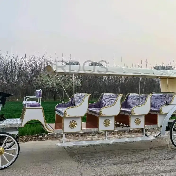 

Traditional electric buggy for royalty Sightseeing Victoria horse-drawn Carriage classical electric horse cart for tourism