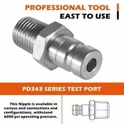 Test Port & Diagnostic Nipple PD343 Series PD with Male Pipe Thread, 1/8