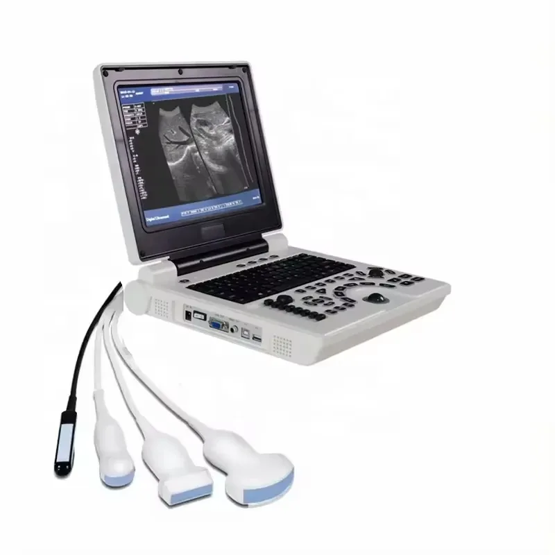 2026 12 Inch LED Screen Animal Veterinary Notebook Pet Ultrasound System Human and Animal Use 2D 3D Ultrasonic Scanner