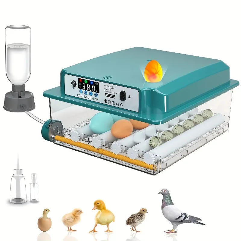 

Customizable Intelligent Touchscreen Operated Automatic Chicken Egg Incubator 16-Egg Capacity 98% Hatching Rate Dual Power