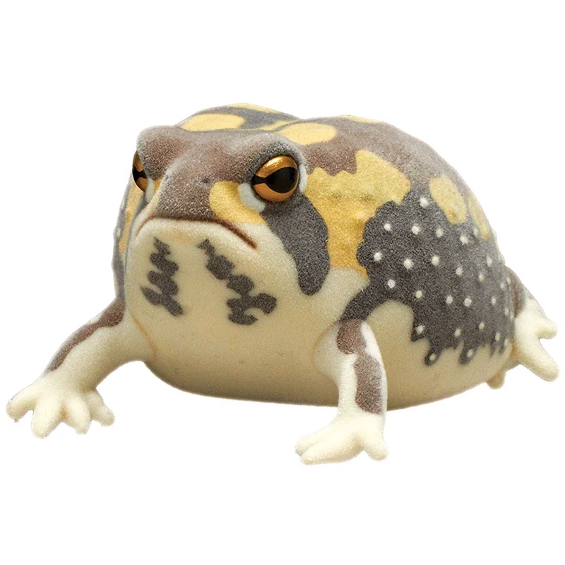 Breviceps Adspersus Gashapon Kolekcja Ozdoba na Biurko Figurka Akcji Model Zabawki Flokowane