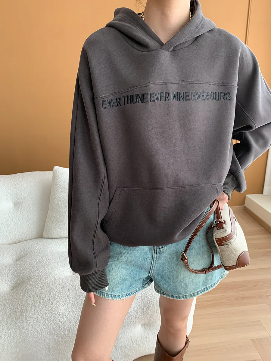 Sweat-Shirt à Capuche pour Femme, Décontracté, Solide, avec Lettres Brodées Imprimées, Printemps et Automne