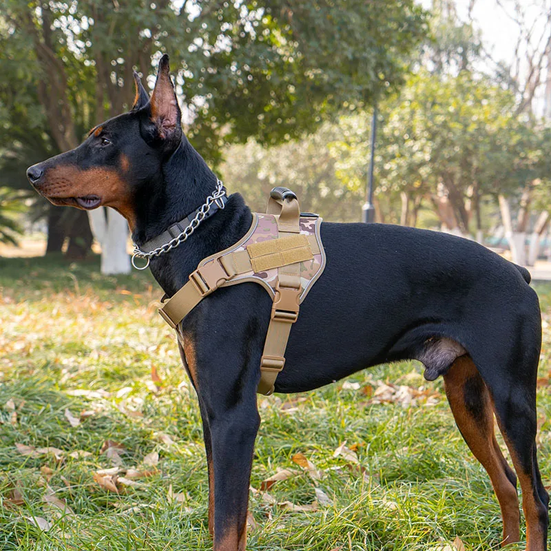 444.dogs専用 dual_purpose_2.jpg?v=1695420085