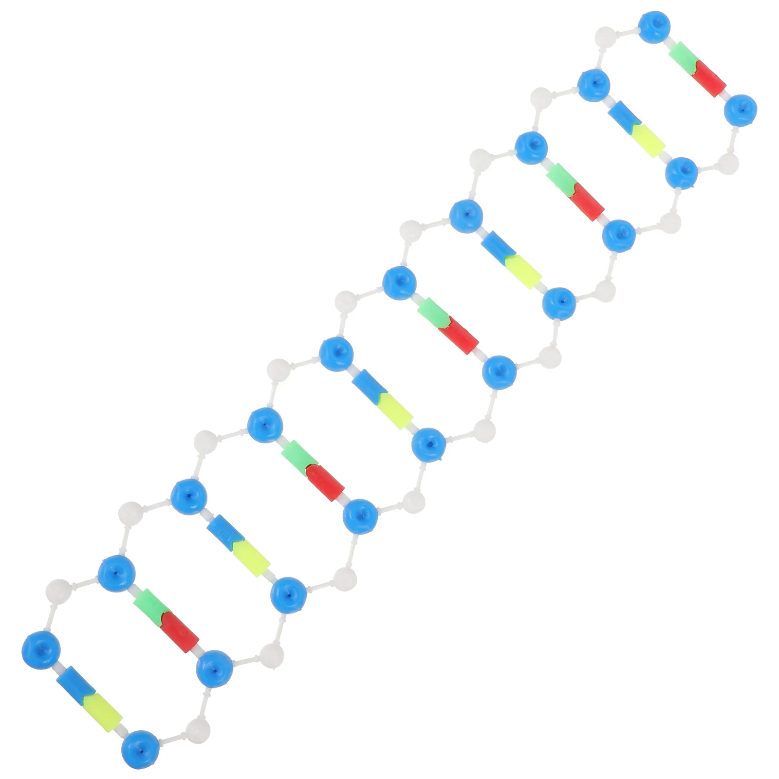 Dna Double Helix Model Components Science Teaching Aids for Biology Plastic Educational Instrument Affordable Durable