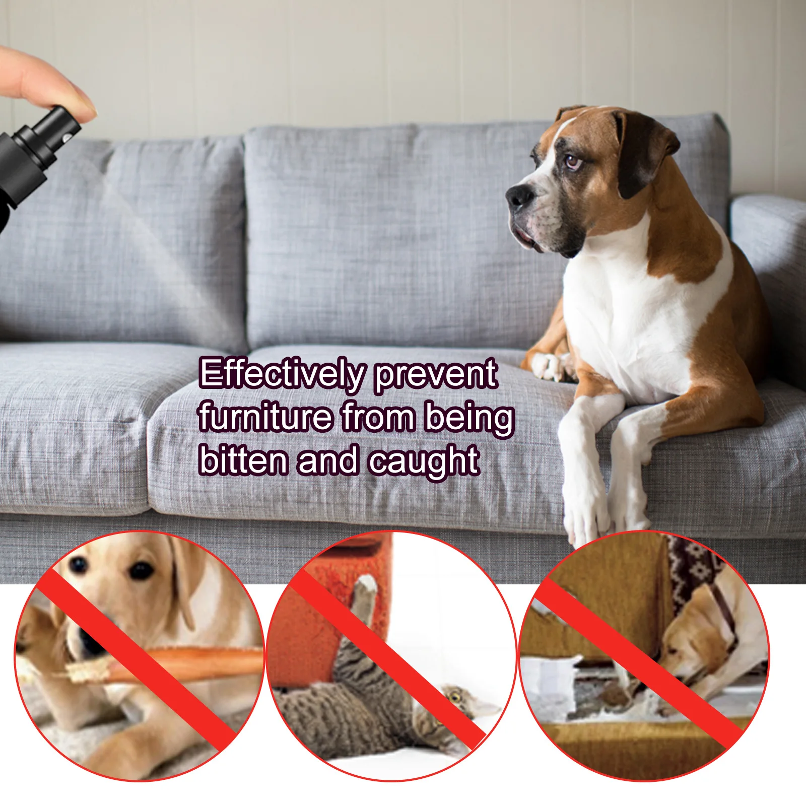 Pet No Chew Spray Bitterness Anti Gnawing Biting Stop Cat Scratching Furniture Behavior Modification Dog Chew Prevention Liquid