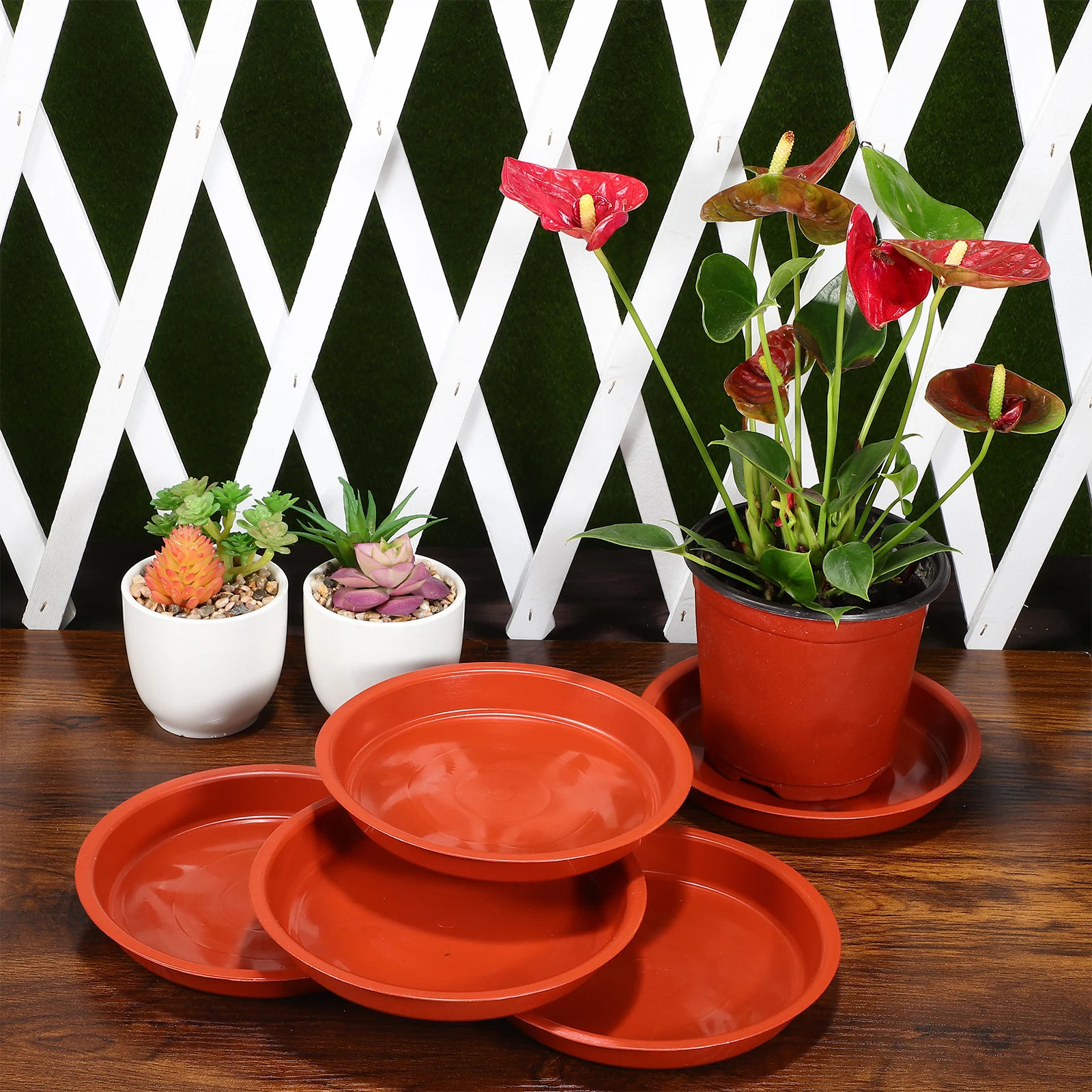 

5 Pcs Plastic Flower Tray Bottom Flowerpot Saucers Drip Trays Plant Pots Indoor Drainage for Plants