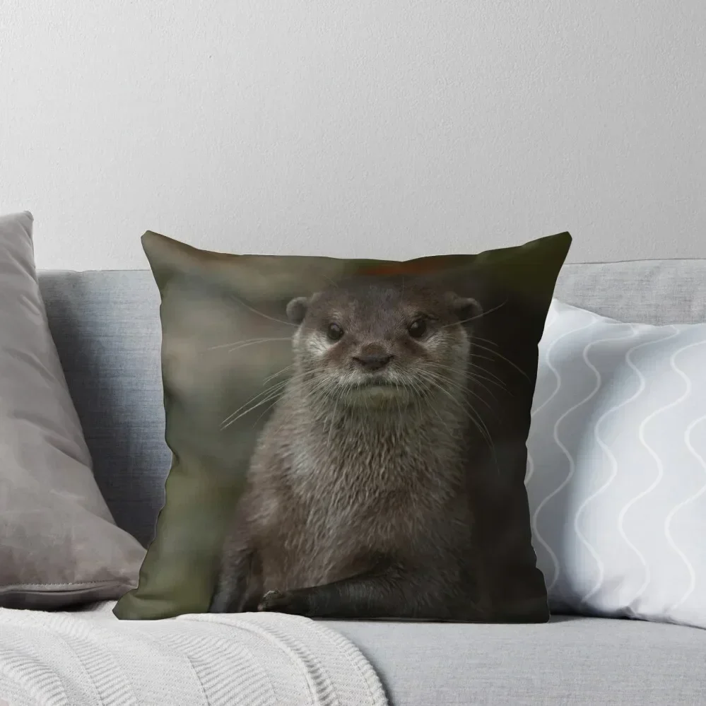 

Curious Otter Throw Pillow christmas pillowcases Couch Pillows Christmas Covers For Cushions luxury decor pillow