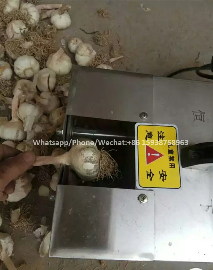 Small Garlic Stem and Root Cutting Machine/Garlic Root Cutter/ Removing Garlic Root and Sprout Machine Price