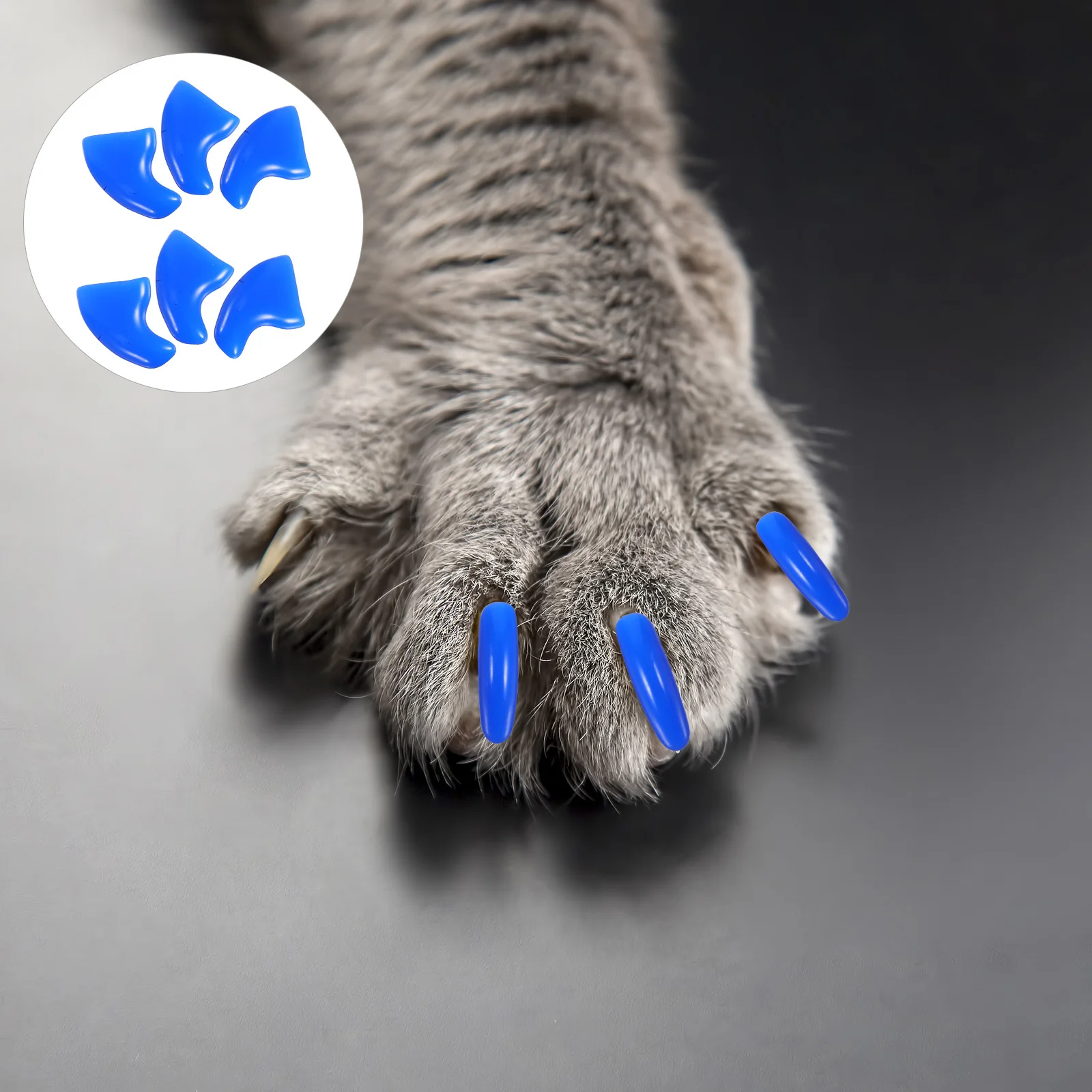 

200Pcs Cat Dog Nail Covers Soft Material Scratch Prevention Universal Fit Pet Claw Protectors Stylish Design Cat Claw Caps