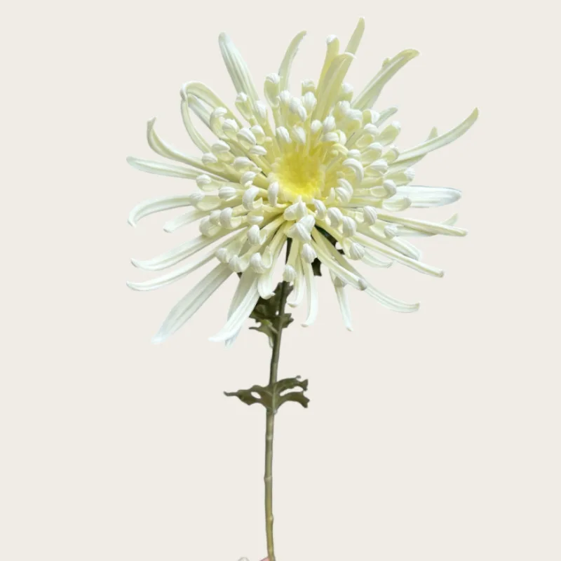 3 Stück Künstliche Latex-Chrysanthemen Plastikblumen Hochzeitsdekoration Blumenarrangement Heimdekoration Party Blumen Foto-Requisiten – Detail 6