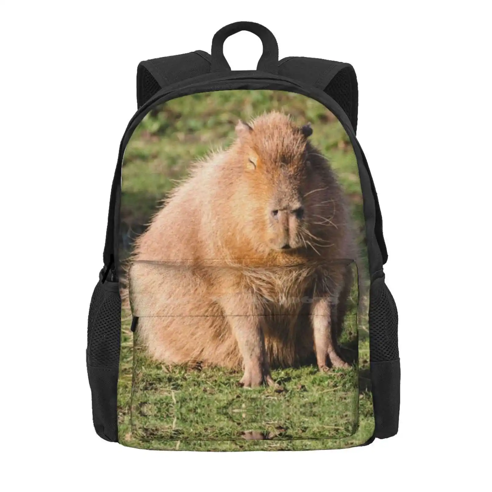 Capybara Stare Hot Sale Schoolbag Backpack Fashion Bags Rodent Mammal Animal Nature Wildlife Fur Hydrochoerus Hydrochaeris Pig