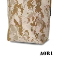 AOR1