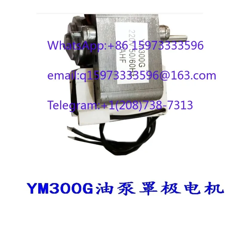 YM300G/TL6040D Lubrication Pump and Shaded Pole Motor 220V/110V for Oil Pump and Industrial Equipment Applications