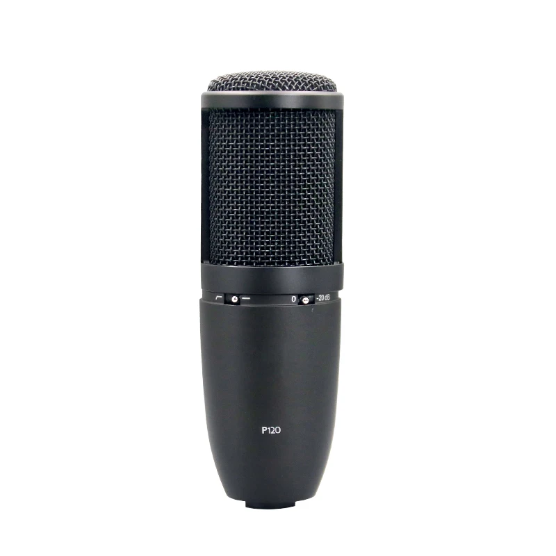 P120 Portable Noise Cancelling XLR Condenser Mic for Broadcast, Blogging, Gaming, Podcasting, Live Streaming - Wired, Boxed