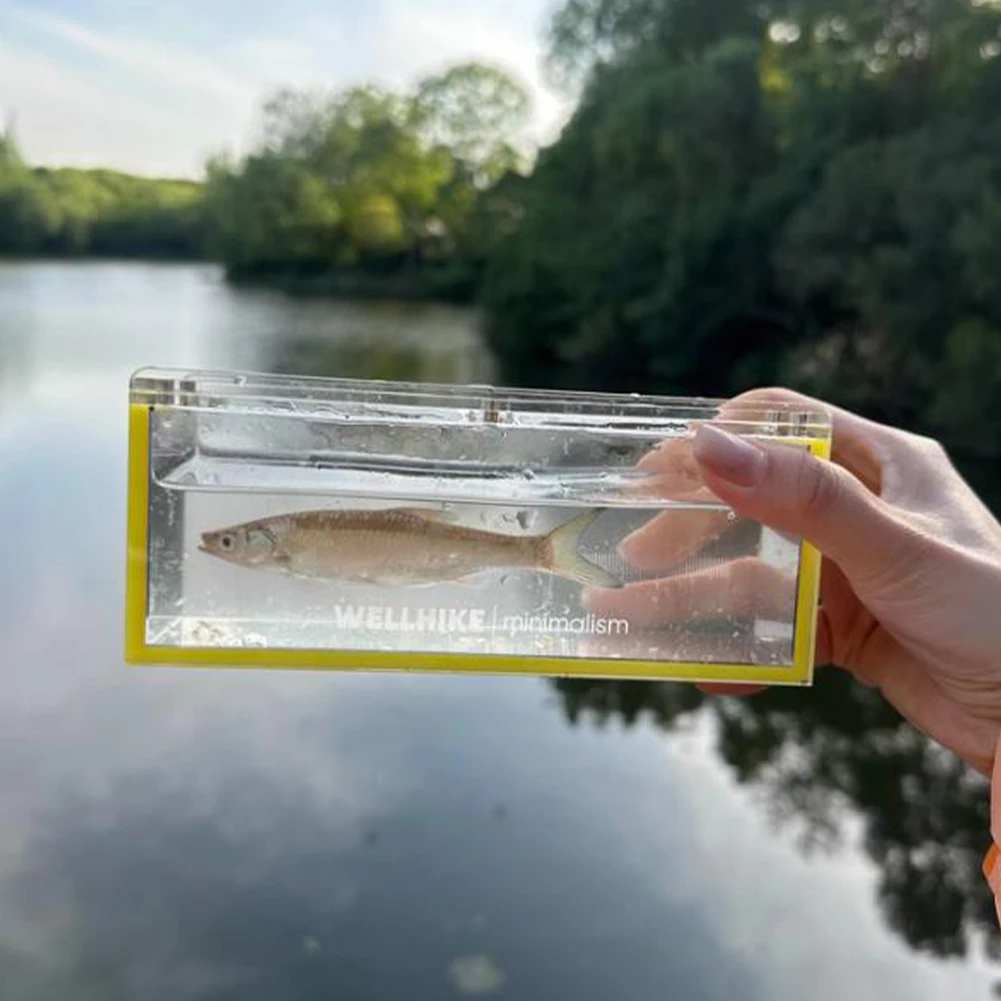 

Прозрачный контейнер для наблюдения за рыбами, износостойкий мини-бокс для просмотра рыбок, акриловый контейнер для наблюдения за струями воды, для разведения и изоляции икры