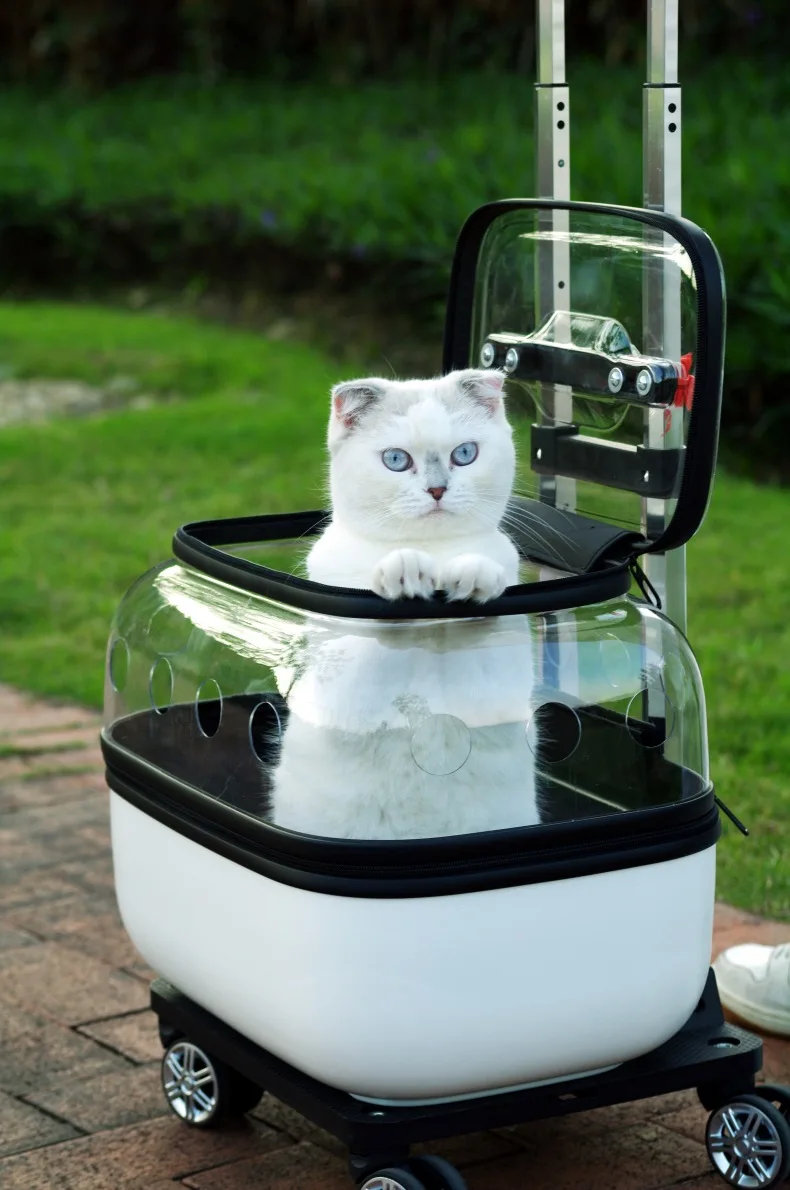 Transparent Cats Strollers 2 Cats Double Layer Outdoor Cat Trolley Bag Wheels Carrier Cheap Breathable Pet Supplies Portable