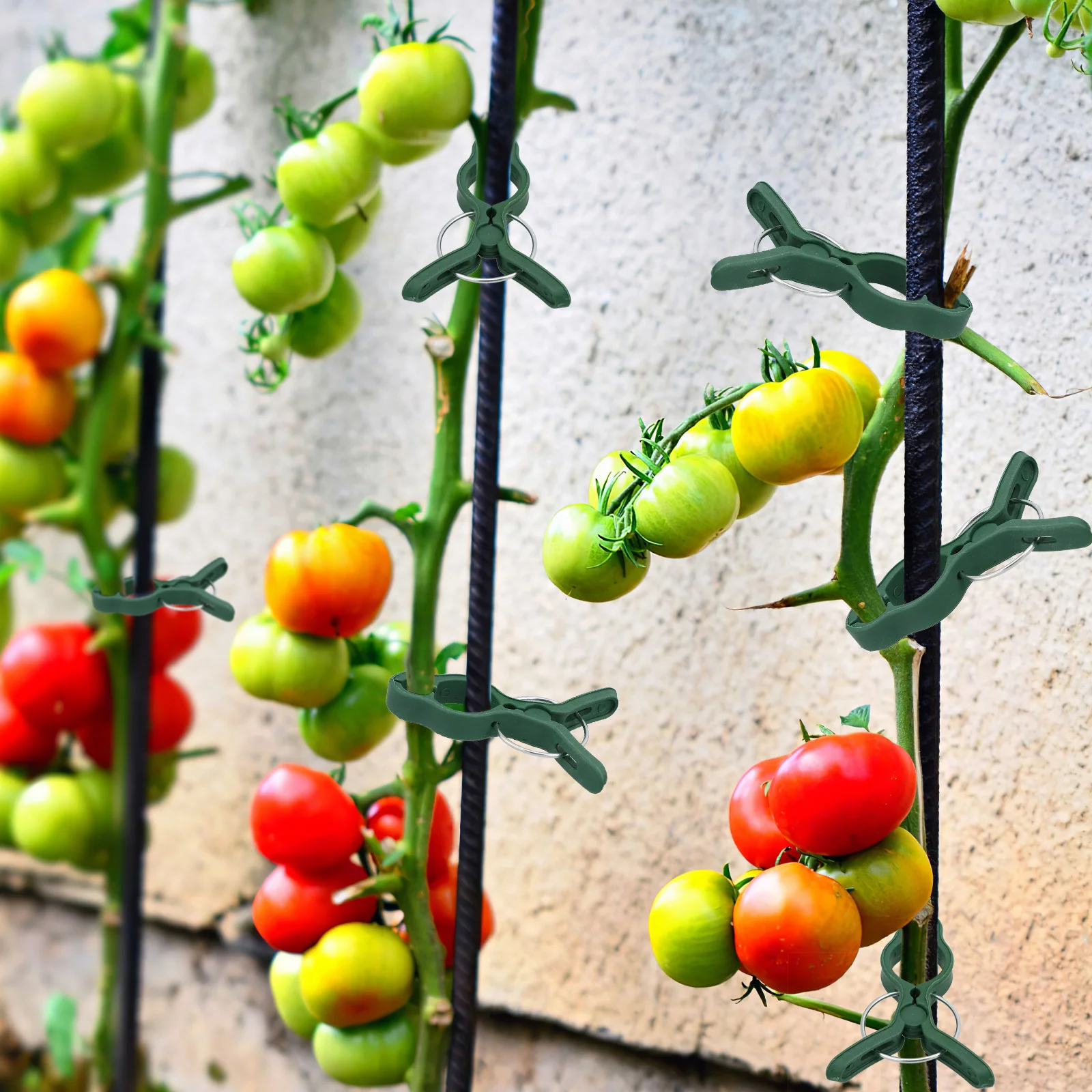 

50pcs Garden Plant Clip Kit Plastic Vine Stem Clips For Tomato Orchid Support Trellis Gardening Supplies Plant Supports Clip
