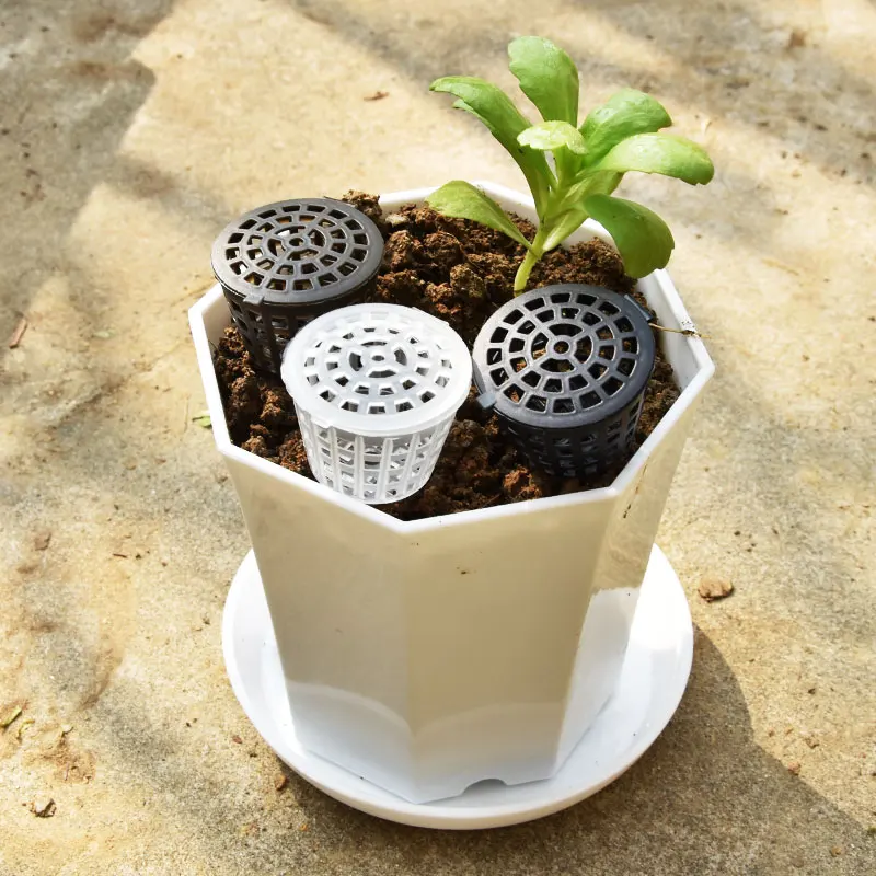 20Pcs Portable Fertilizer Box Bonsai Fertilizer Basket Case Plastic ,Plant Automatic Fertilization Container Pots Garden Tool