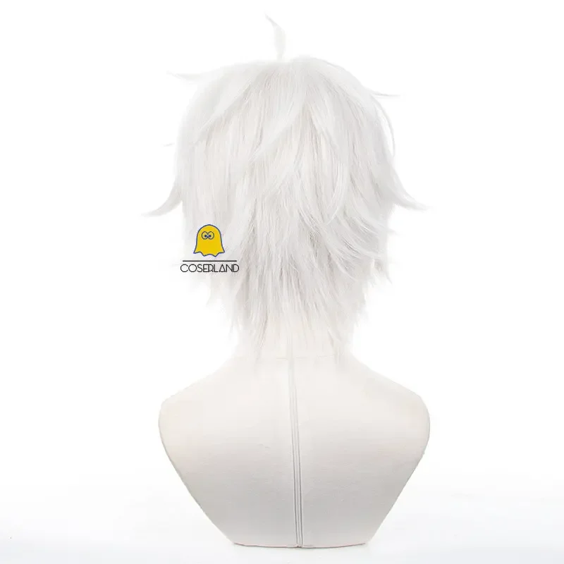 Perruque Cosplay stationnaire i Seishirou pour homme, cheveux courts blancs, joueur de football, accessoire d'Halloween, Anime, serrure bleue, RZ, équipe V n ° 11, en stock