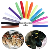 15PCS Pet Identification Circle Kitten Puppy Colored Collar Birth Marking Rope Cat Dog Can Write Recognition Soft Not Harm Skin