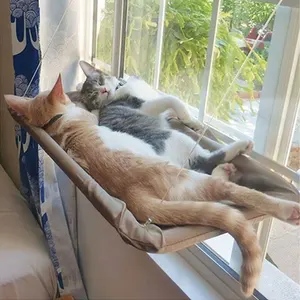 أفضل 9 حامل نوافذ Cat مبيعات - رقم 8