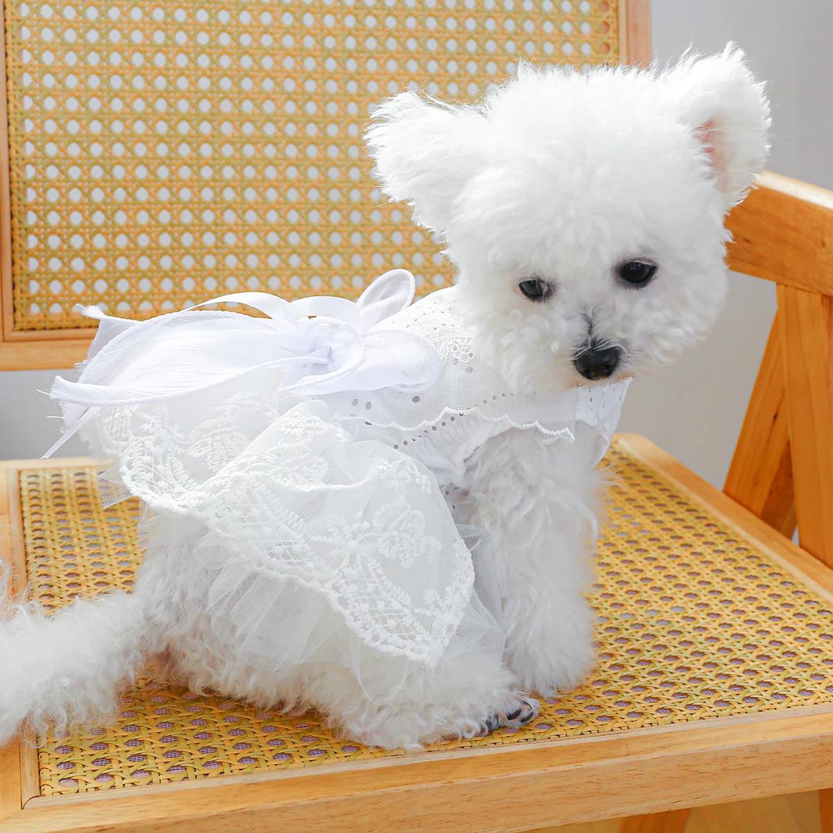 1PC Pet Clothing Cat and Dog Spring/Summer Thin White Wedding Princess Dress Suitable for Small and Medium sized Dogs