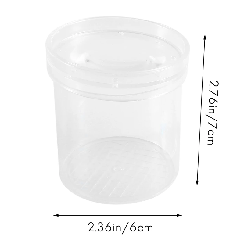 Tasse d'Observation d'Insectes, Loupe d'Insectes, Boîte d'Alimentation Fuchsia, Tube d'Observation Naturel, 1 Ensemble