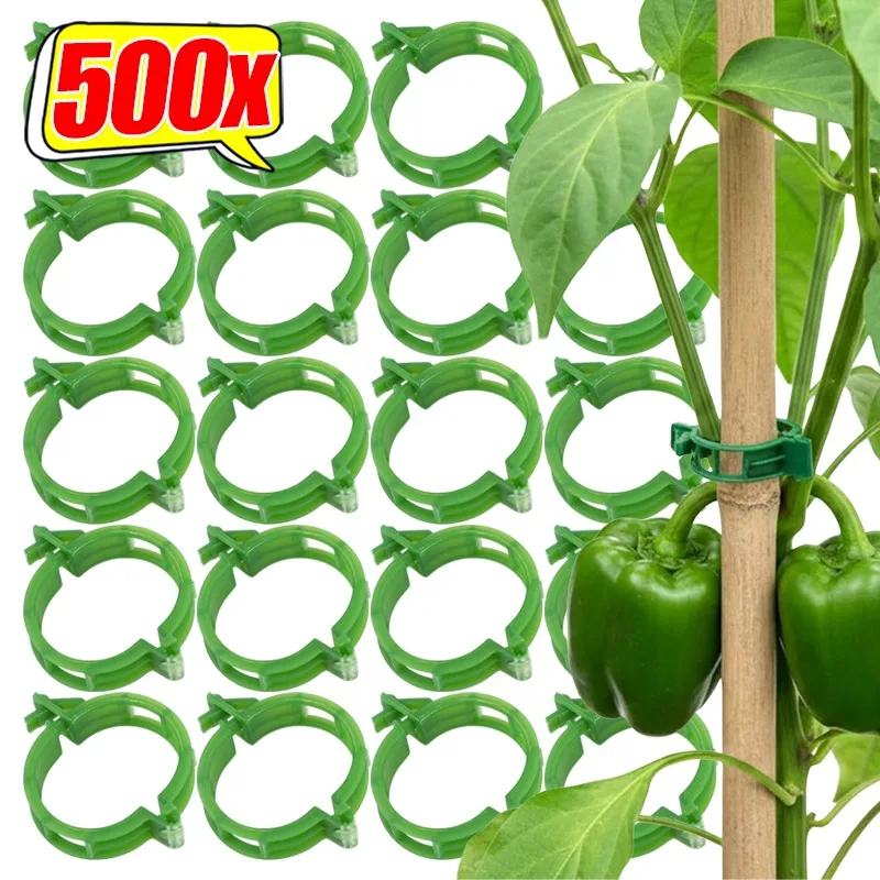 Reusable Plant Supp…