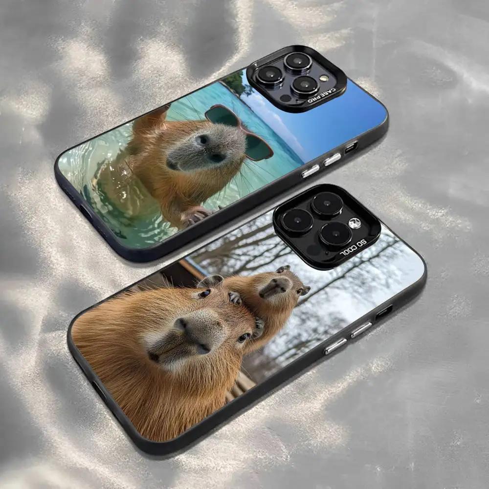 

Cute capybara Phone Case For iPhone 17,16,15,14,13,12,11 Plus,Pro Max,XS,Colorful Silver Black Cover