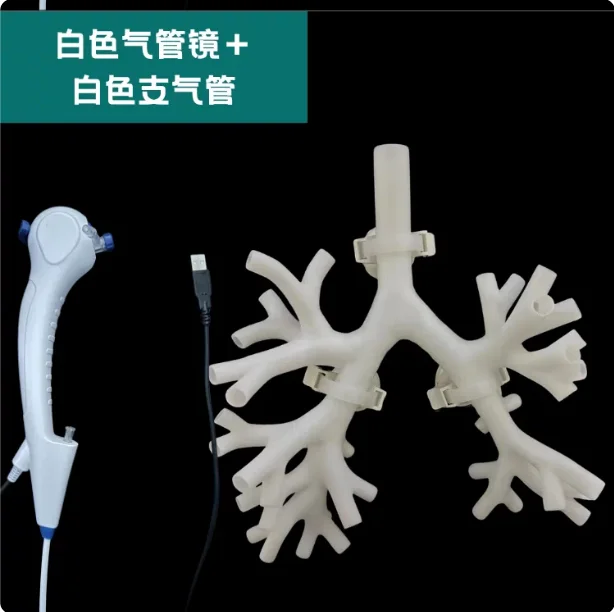 1:1 Bronchial Tree Model for Bronchoscopy Training, Fiberoptic Bronchus Resin Anatomical Simulation Model
