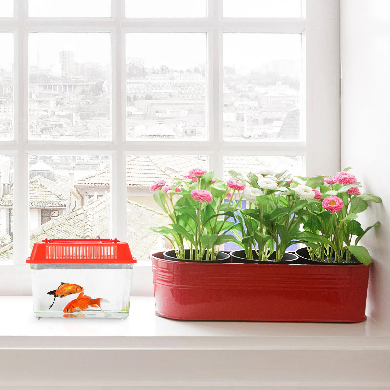 Transparent Mini Fish Tank Pla - Aquarium Fish Medicine review and price