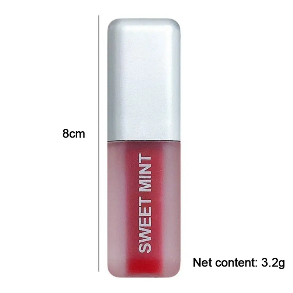 Brillant à lèvres antiadhésif Portable, teinte longue durée, boue de joue, glaçage mat, maquillage, cosmétiques