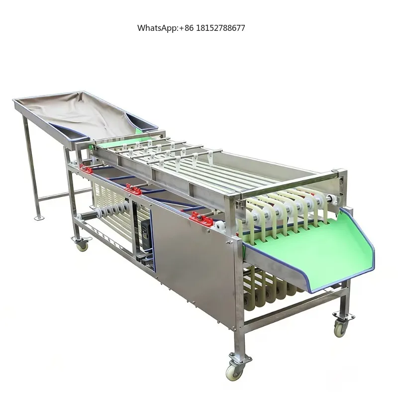 Automatic Fruit Size Sorter Roller Grader for Garlic and Mango Grading Machine Farm Use