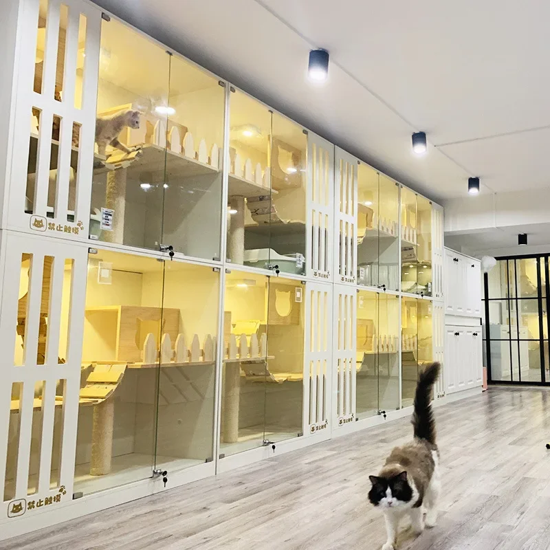 Tienda de mascotas, villa para gatos, mueble de café de madera maciza para gatos, casa Haoqhua, exhibición de cría opaca