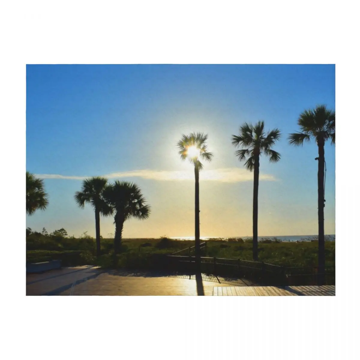 

Palm Trees on Hilton Head Throw Blanket christmas gifts blankets and throws Cute Plaid Blankets