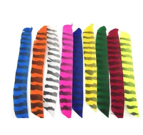 50pcs Zebra Natural Turkey Feather Full Length No Cutting Real  Fletching Right / Left Archery Arrow Shaft DIY Accessory