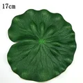 17cm