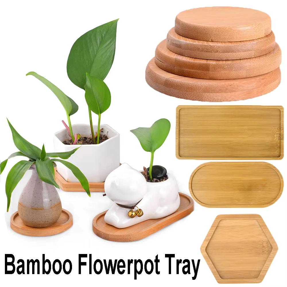 Simple Style Home Decoration Succulents Bonsai Holder Round Square Hexagon Rectangle Bamboo Wood Tray Flowerpot Base for Plants
