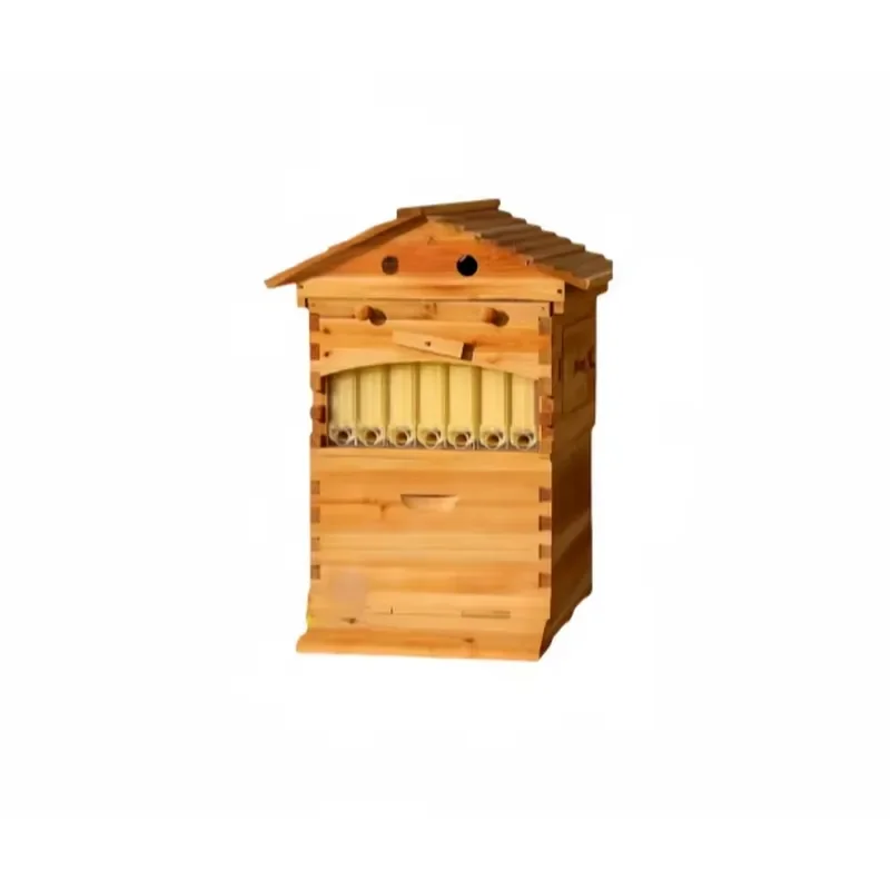 Good-to-Use Beehives for Honey Making Wooden Beekeeping Equipment with Honey-Flowing Outlet Special Tool for Beekeeping
