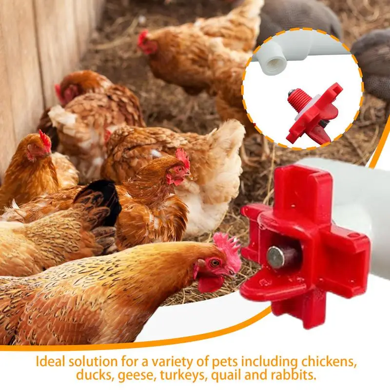 Automatic Chicken Watering Cups Automatic Poultry Water Feeding Cups Good Sealing Tee Fittings Poultry Waterer for Chickens