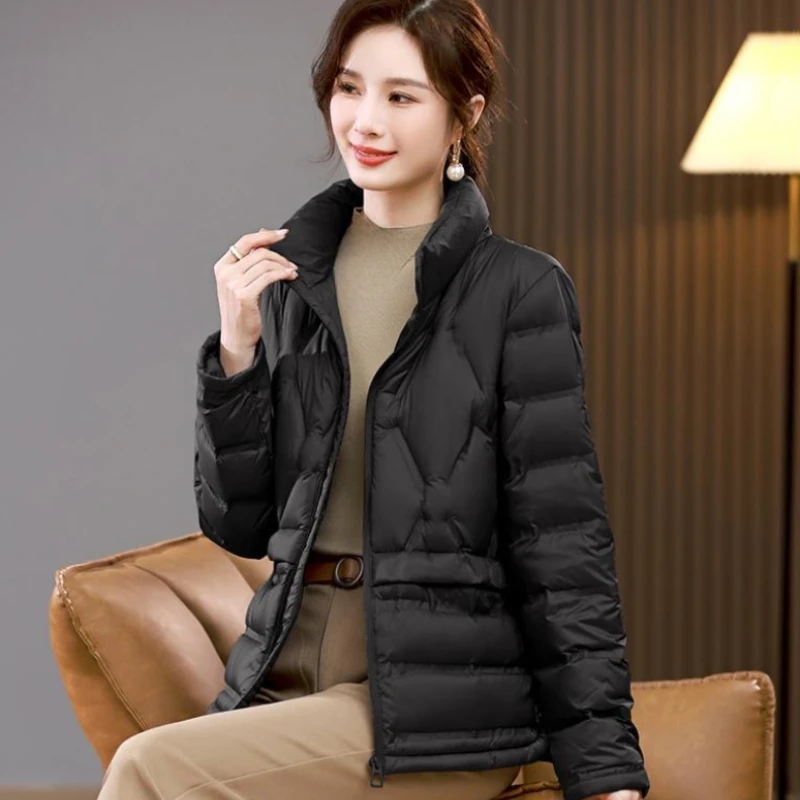 Chaqueta holgada de plumón para mujer con cuello levantado, abrigo informal, prendas de vestir exteriores cálidas, coreana, simple, de gama alta, nieve, mujer, Invierno