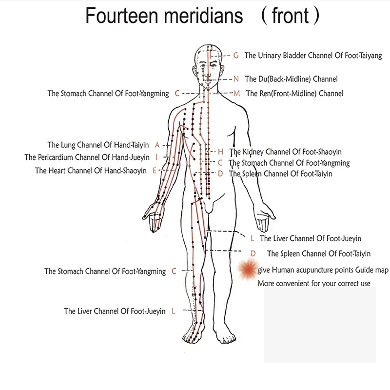 Máquina estimuladora de eletroacupuntura, terapia de eletroacupuntura nervosa e muscular, 6 formas de onda, 6 saídas, massageador ems, pat