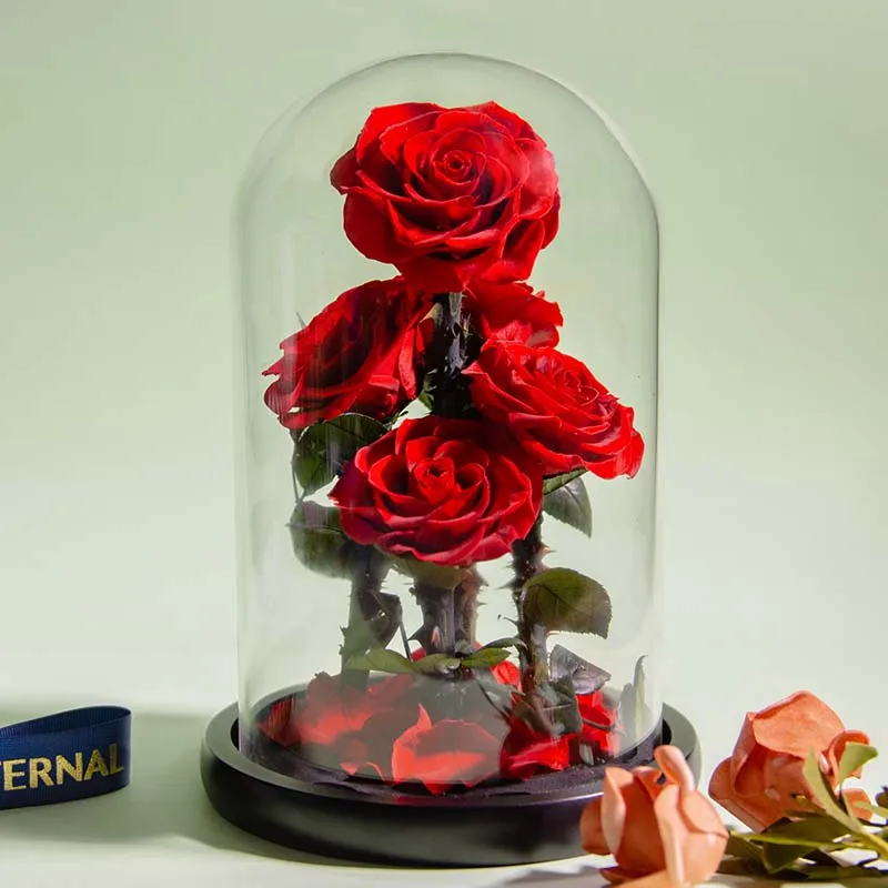 New Arrival Eternal Preserved Rose with Glass Dome 5 Flower Heads Rose Forever Love Wedding Favor Party Gifts for Women