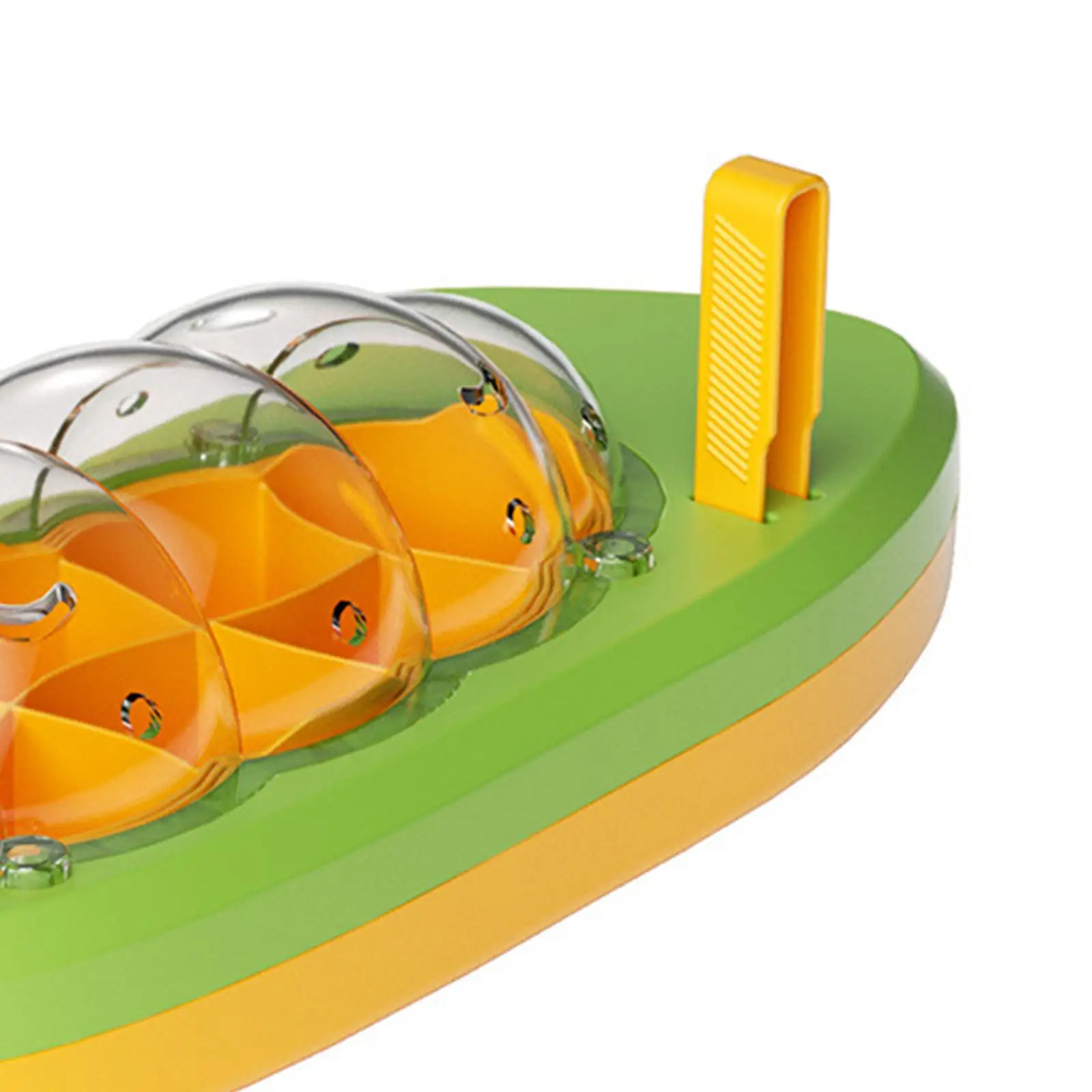 Silkworm Terrariums Breeding Box with Handle Transparent Reptile Terrarium