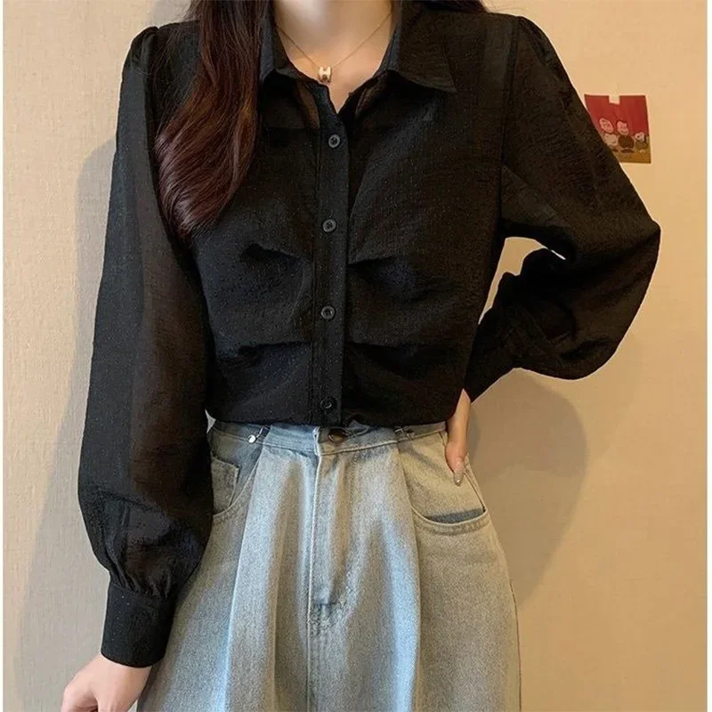 Design Sense Slightly Transparent Black Shirt for Women\'s Spring Autumn New French Style Loose Belly Covering Short Shirt Top