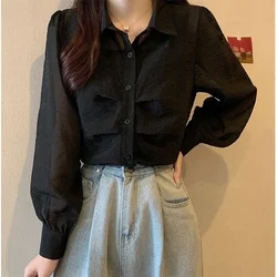 Design Sense Slightly Transparent Black Shirt for Women's Spring Autumn New French Style Loose Belly Covering Short Shirt Top