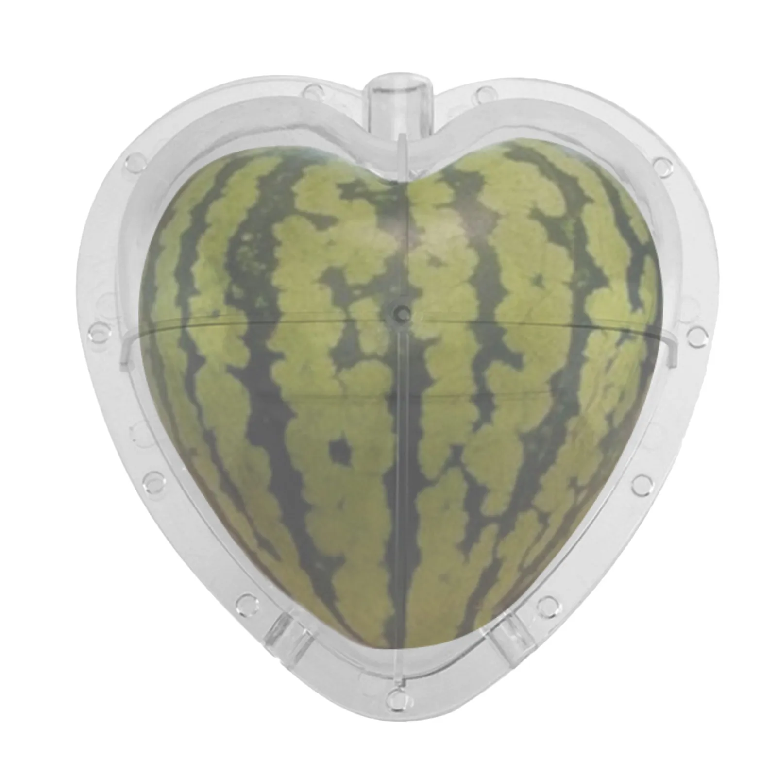 Fruit Shape Mold For For Garden Party Heart Watermelon Shaping Transparent Premium Pc Material Forming Gardening