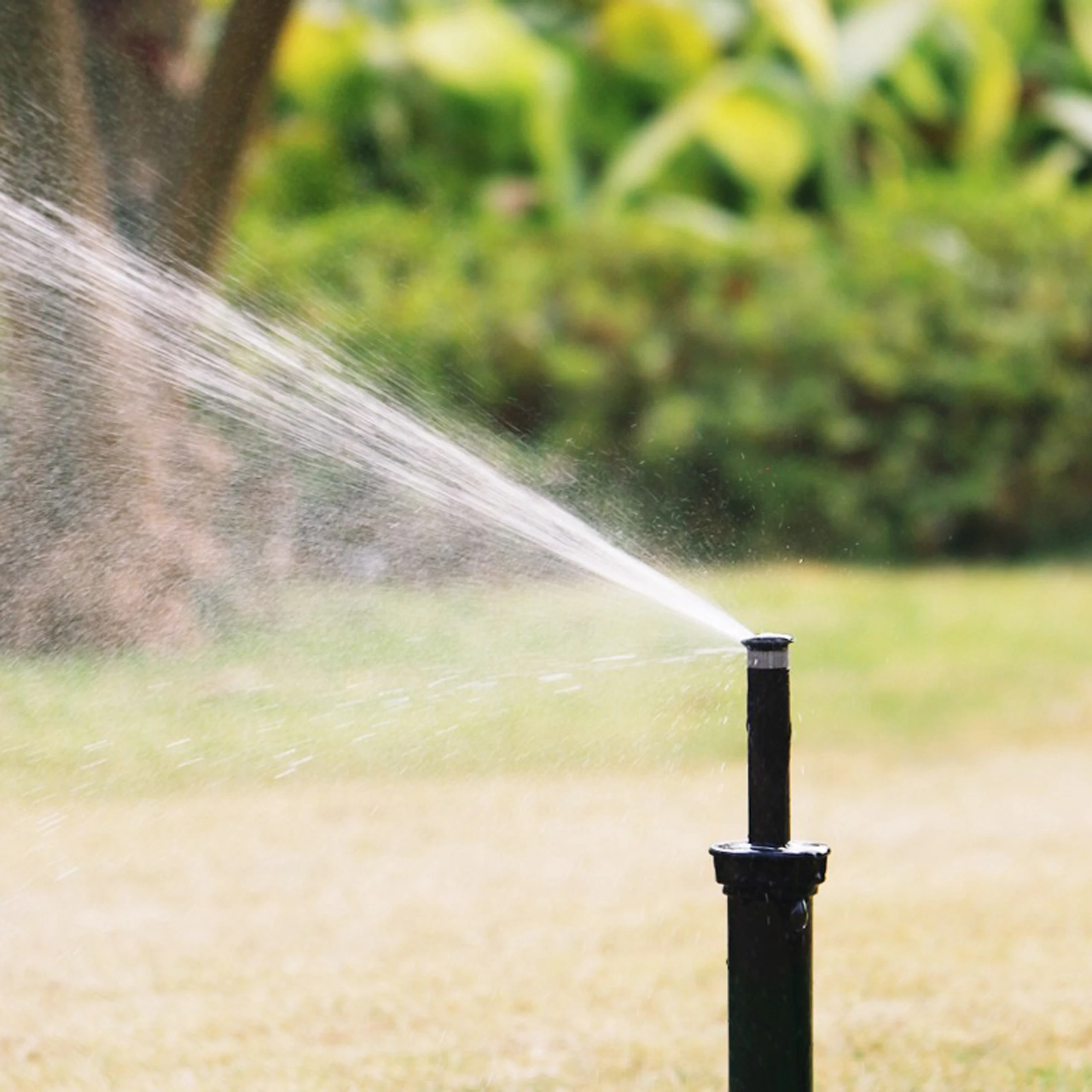 2Pcs 360 Degree Adjustable Pop Up Sprinkler 15mm Scatter Nozzle Garden Lawn Sprinkler 1/2 Inch Attachment Accessories
