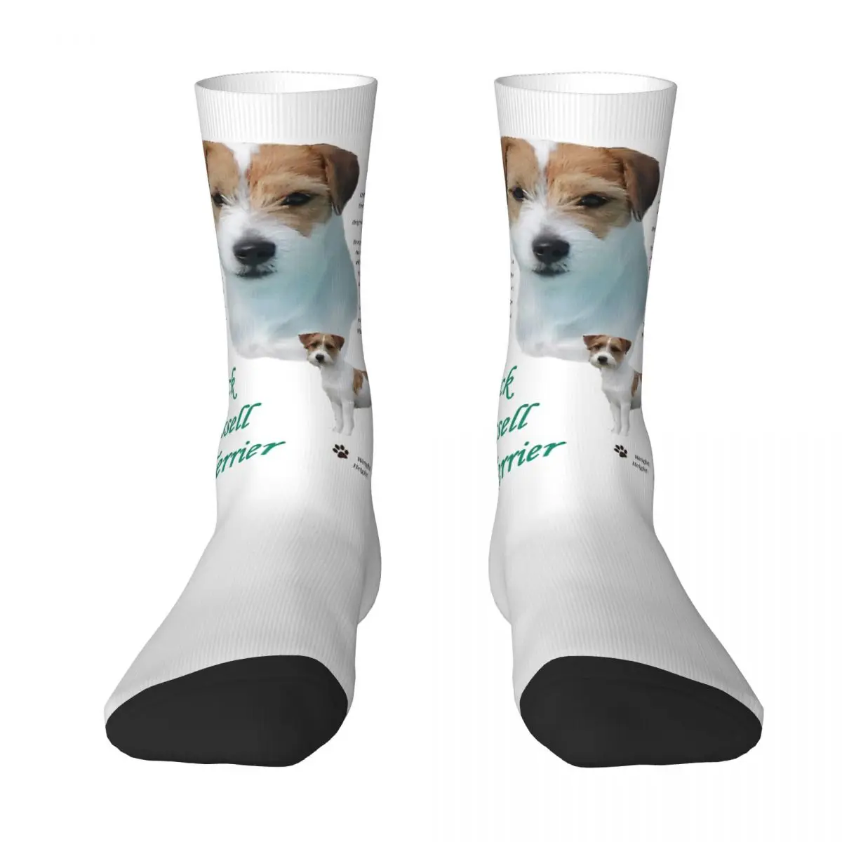 Jack Russell Terrier Dog Stockings Men Socks Medium Soft Leisure Socks Autumn Cycling Non Skid Graphic Socks Gift