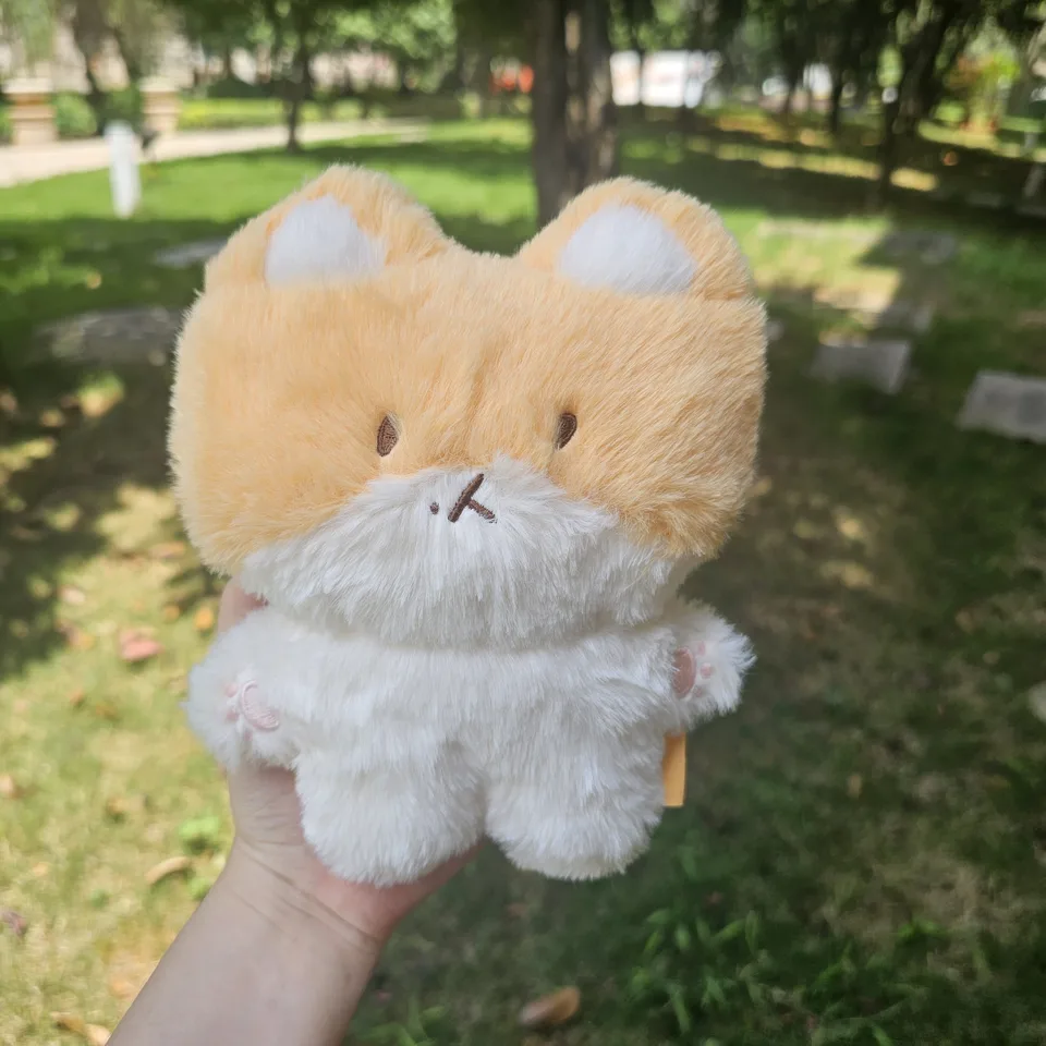 Baekhyun Teolaegi plush toy doll 20 cm - AliExpress 26